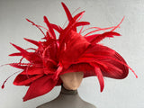 Red Derby Hat