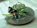 Bottle Green Felt